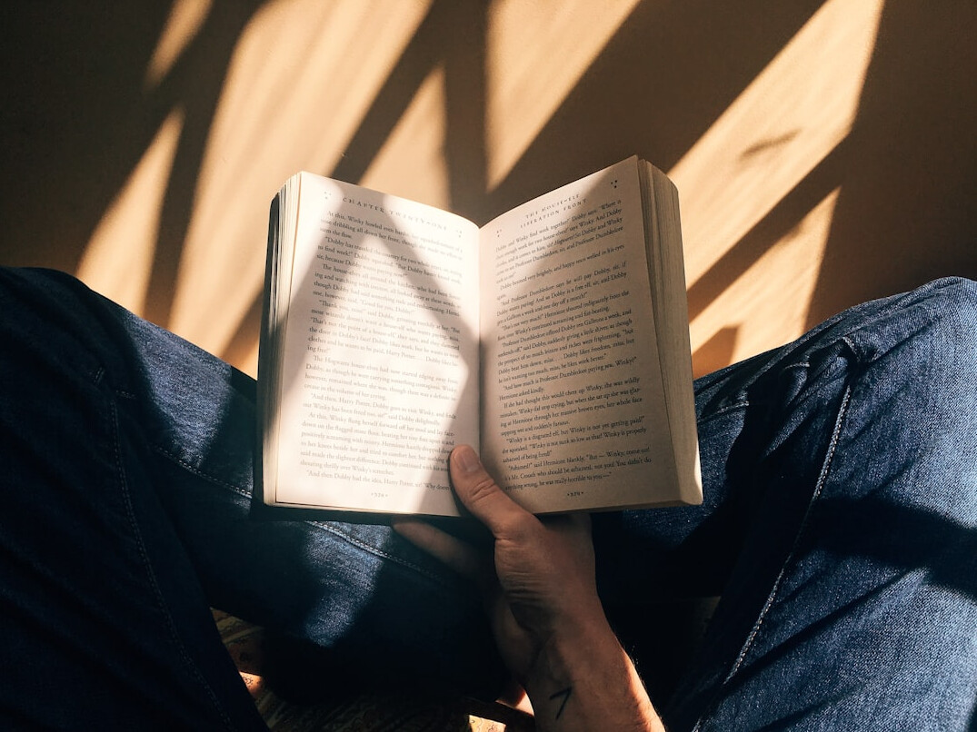 person reading book about society